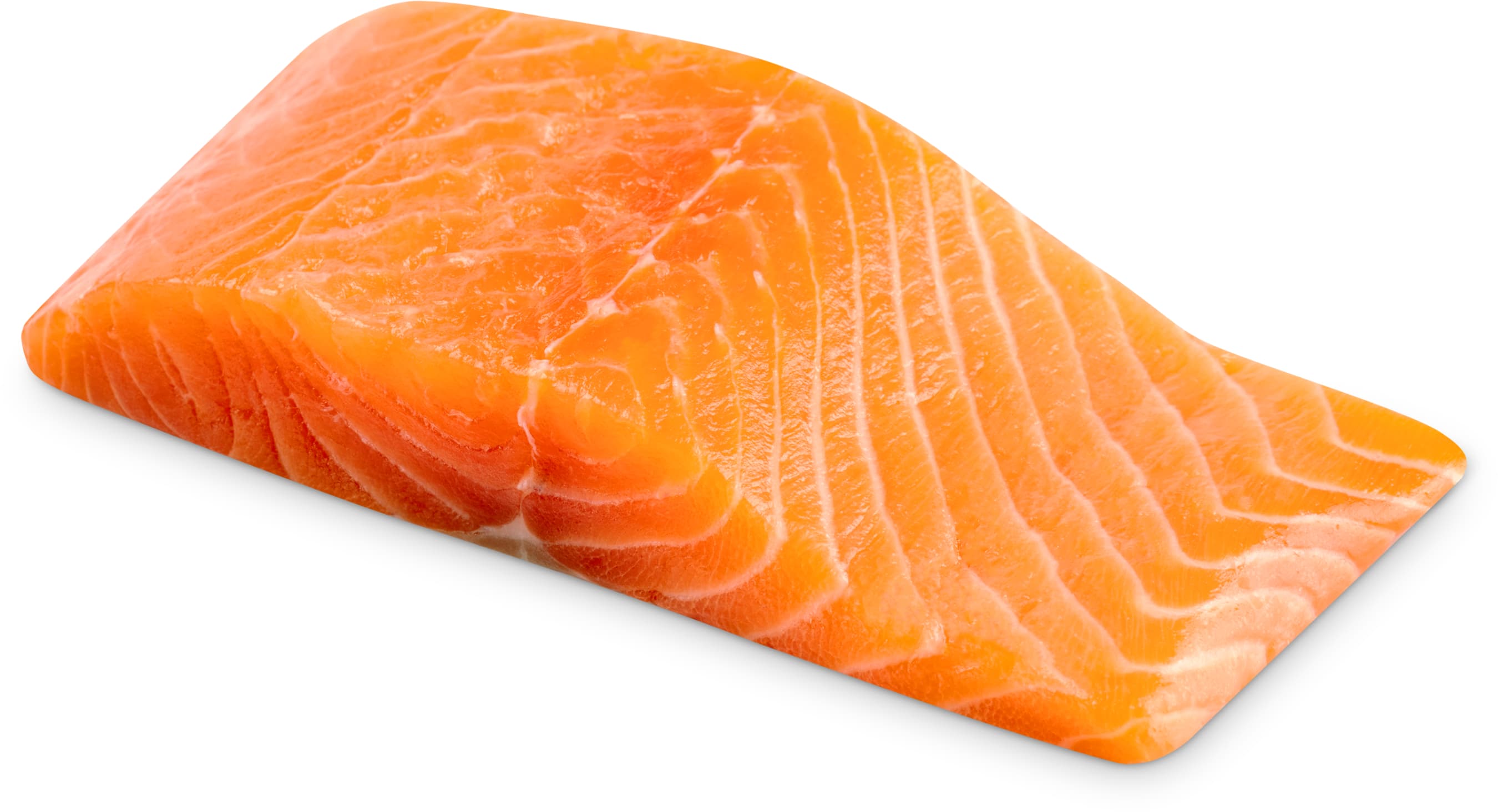 Filetto di salmone